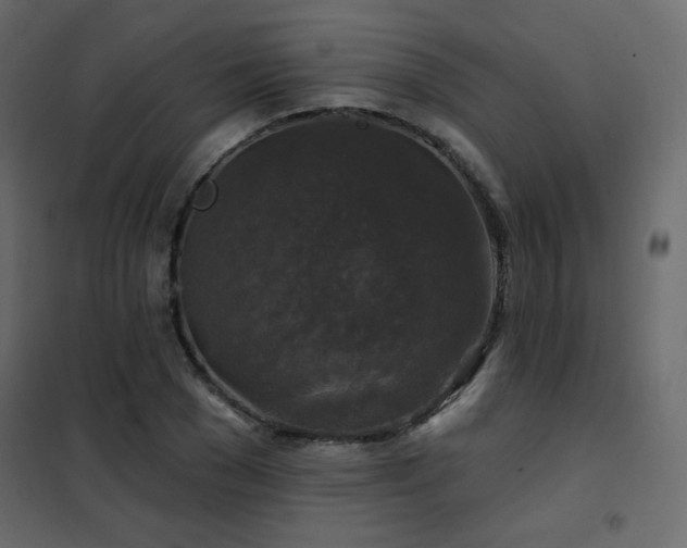 X0000102540977200808081517