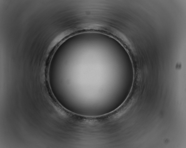 X0000102540978200808081517