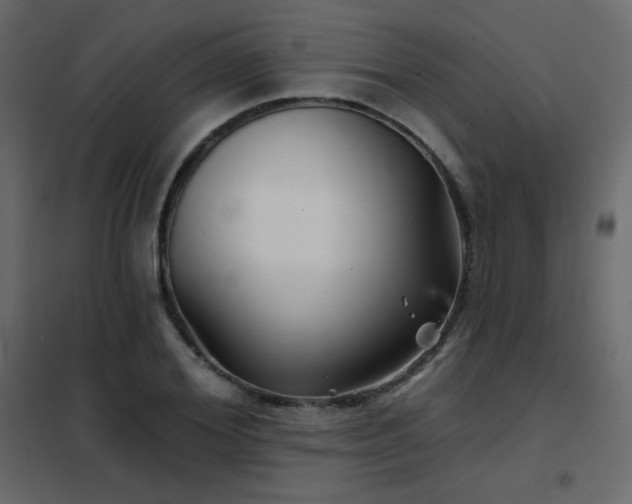 X0000102540980200808081517