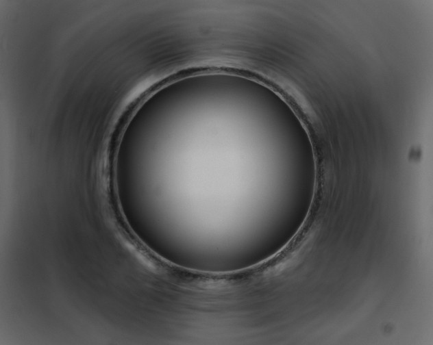 X0000102540982200808081517