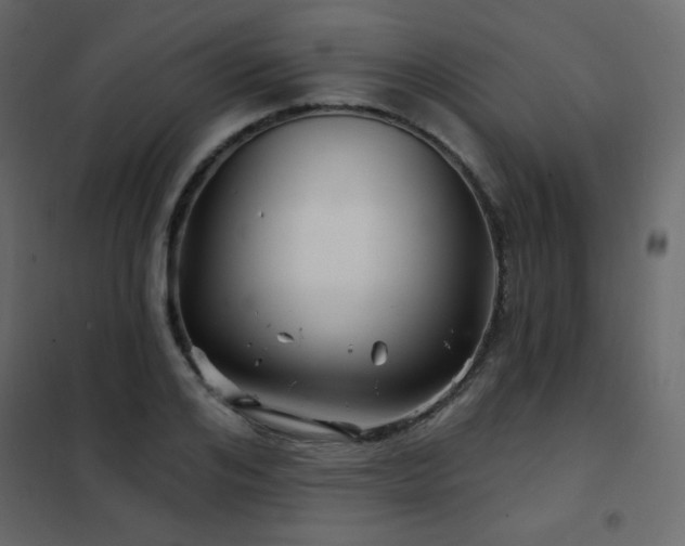 X0000102540984200808081517