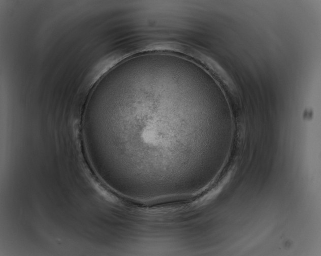 X0000102540985200808081517
