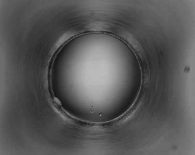 X0000102540986200808081517