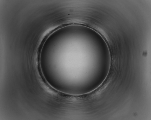 X0000102540987200808081517