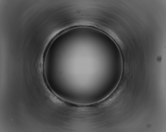 X0000102540988200808081517