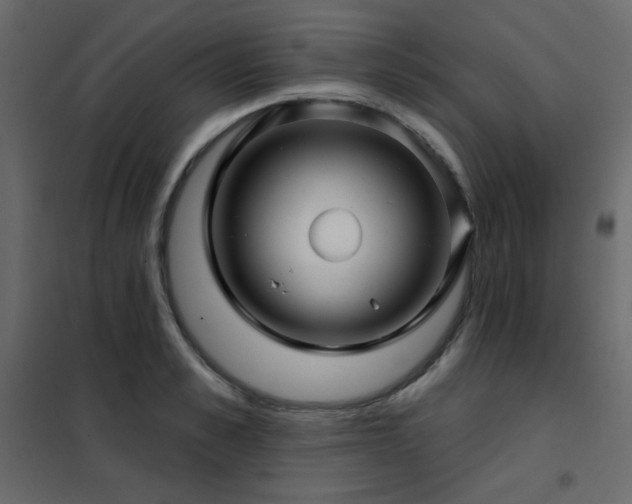 X0000102540989200808081517