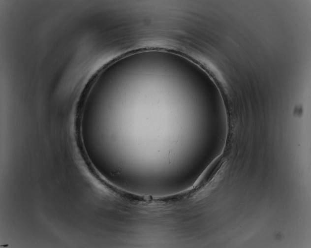 X0000102540991200808081517