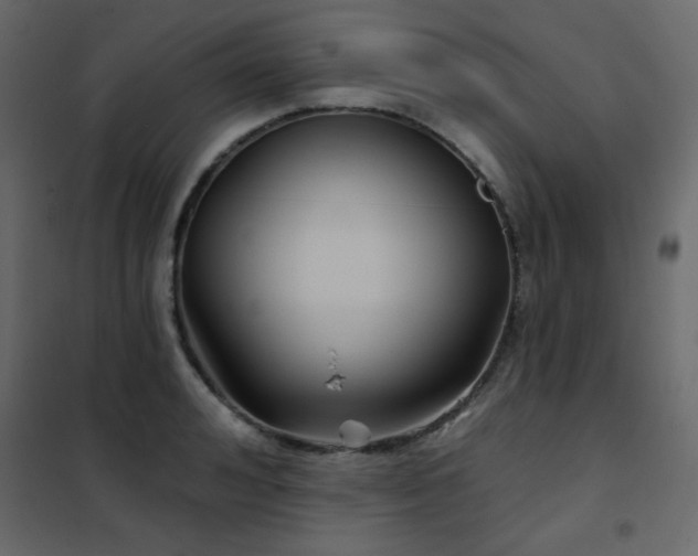 X0000102540992200808081517