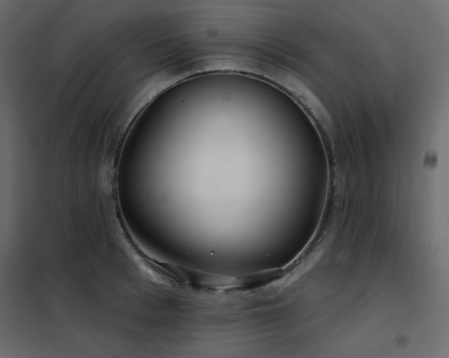 X0000102540993200808081517