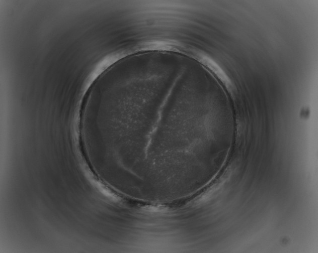 X0000102540994200808081517