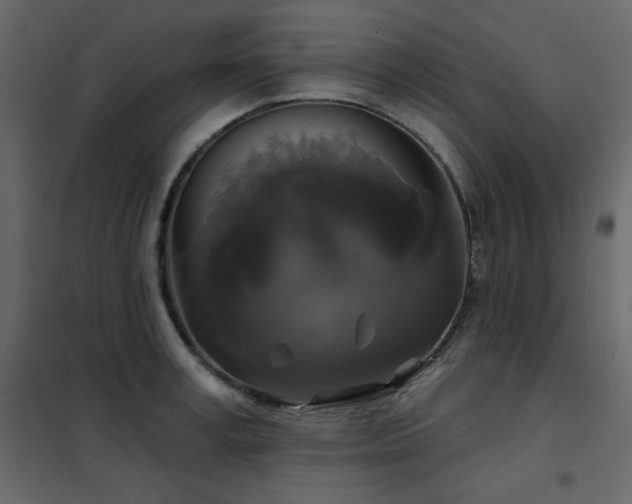 X0000102540995200808081517