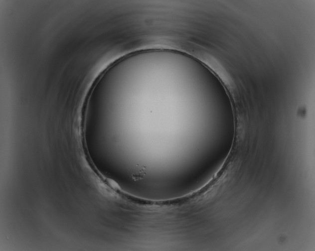 X0000102540996200808081517