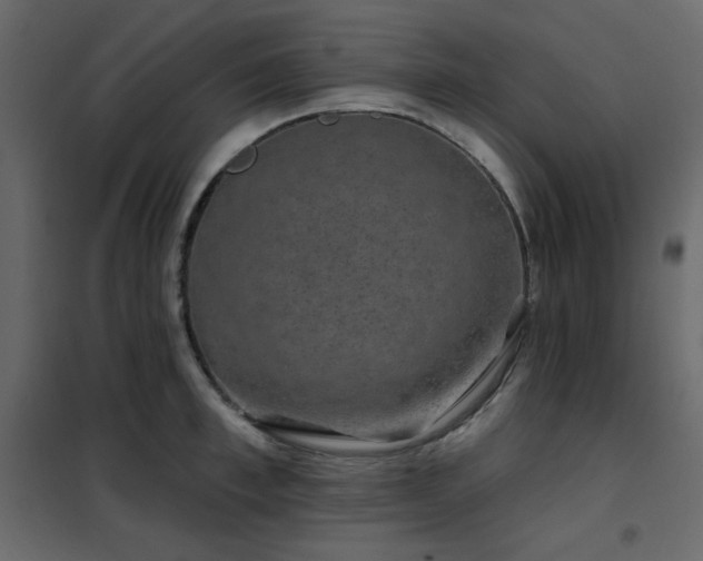 X0000102540997200808081517