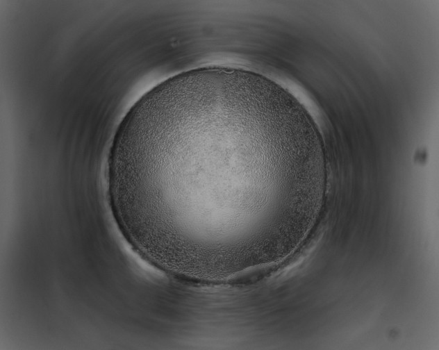 X0000102540999200808081517