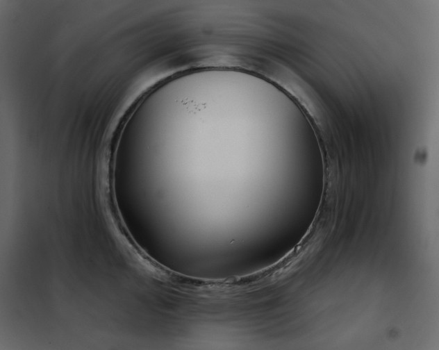 X0000102541000200808081517