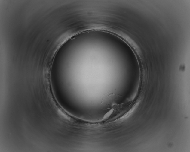 X0000102541001200808081517