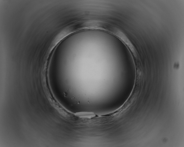 X0000102541002200808081517