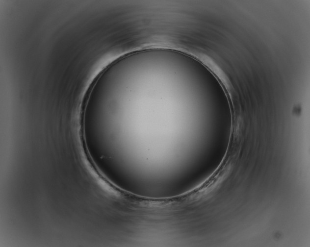 X0000102541005200808081517