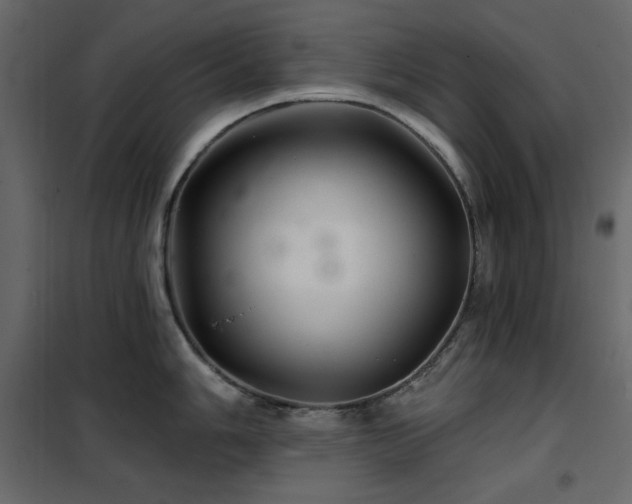X0000102541006200808081517