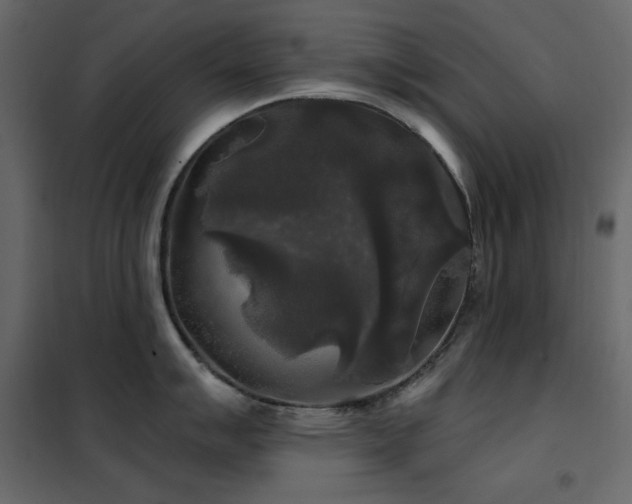 X0000102541007200808081517