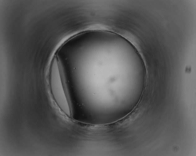 X0000102541008200808081517
