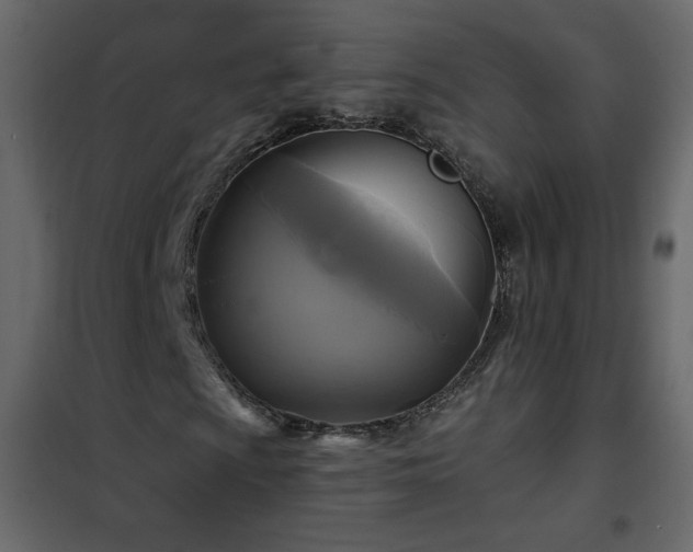 X0000102541009200808081516