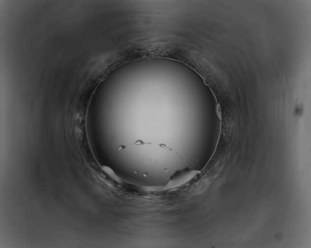 X0000102541010200808081516
