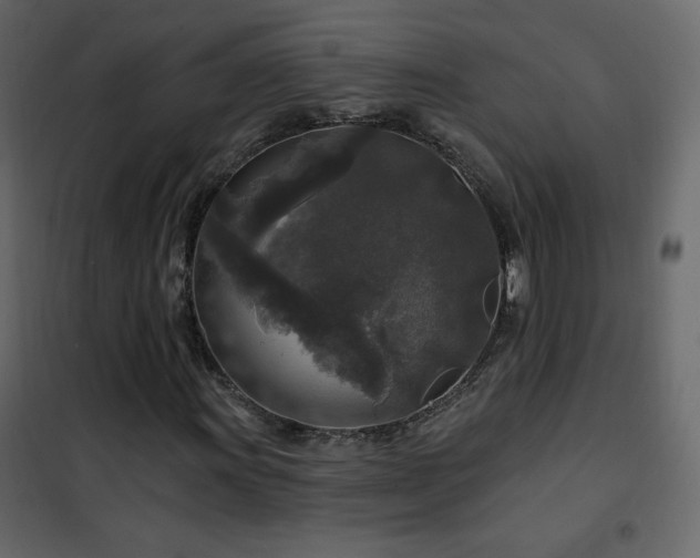 X0000102541011200808081516