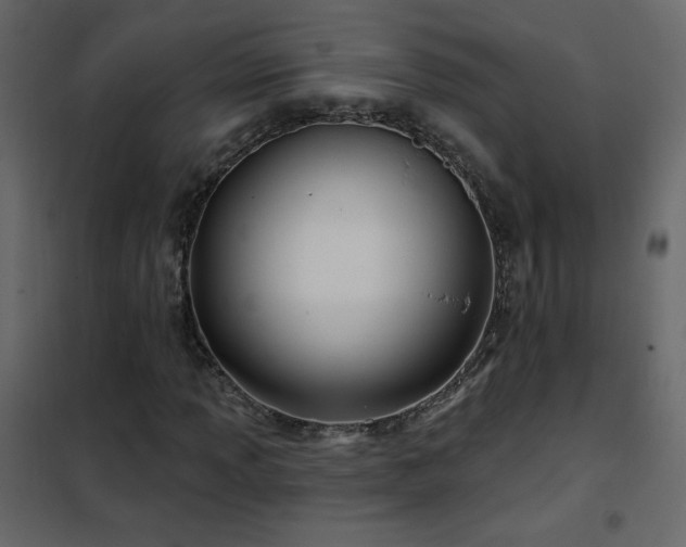 X0000102541013200808081516