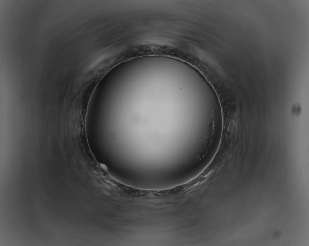 X0000102541014200808081516