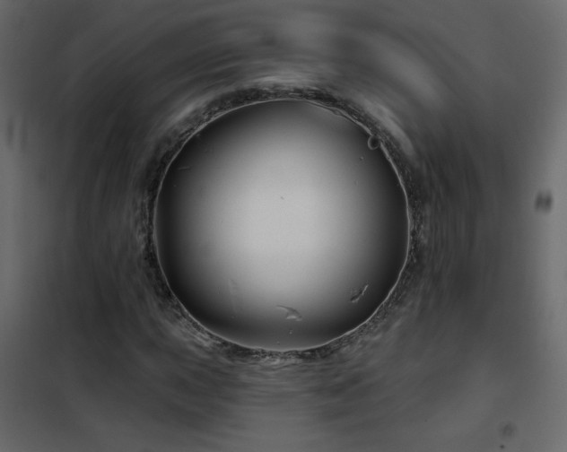 X0000102541015200808081516