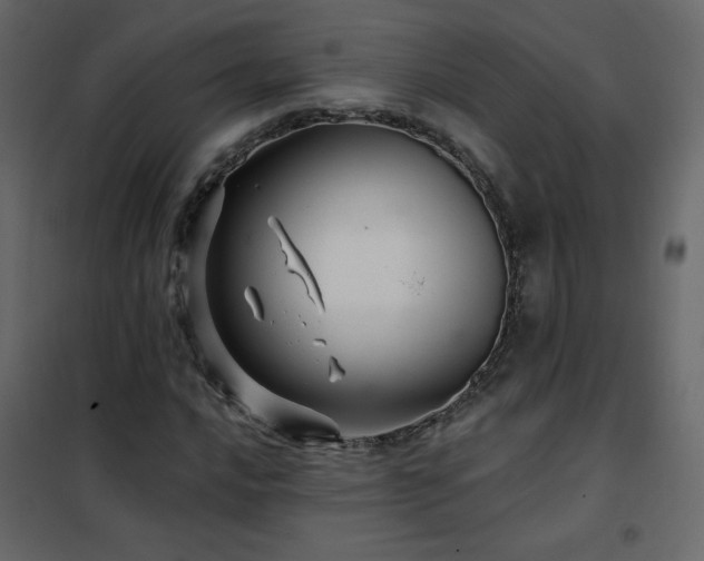 X0000102541016200808081516