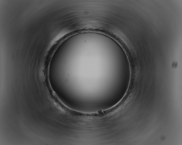 X0000102541018200808081516