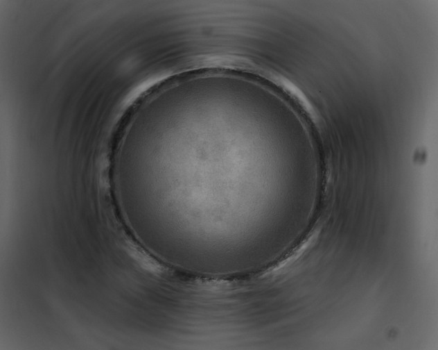 X0000102541019200808081516