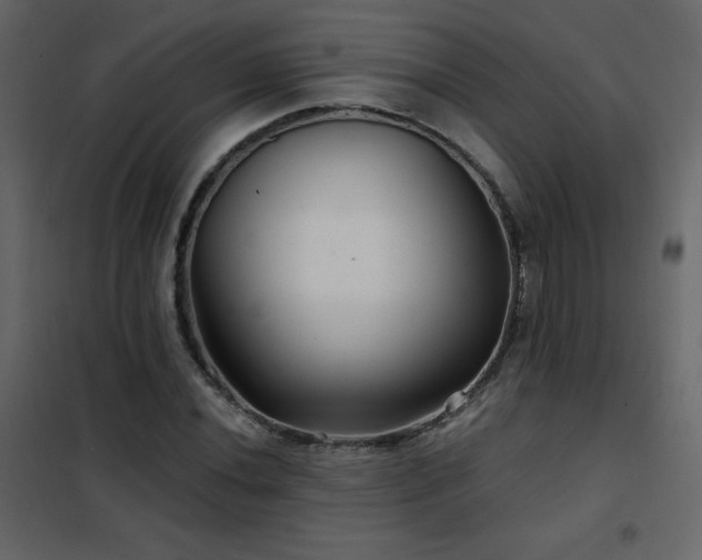 X0000102541020200808081516