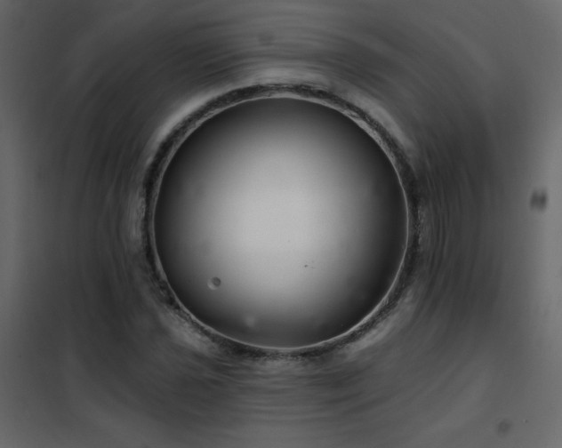 X0000102541021200808081516