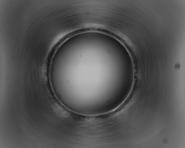 X0000102541022200808081516