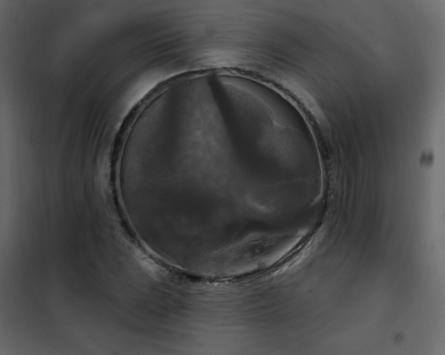 X0000102541023200808081516