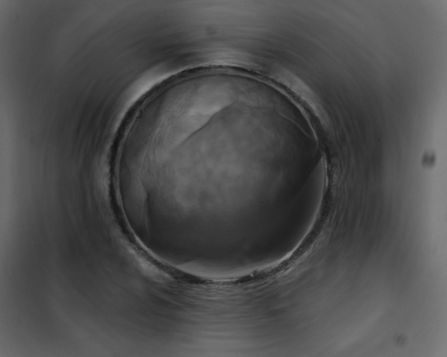 X0000102541024200808081516