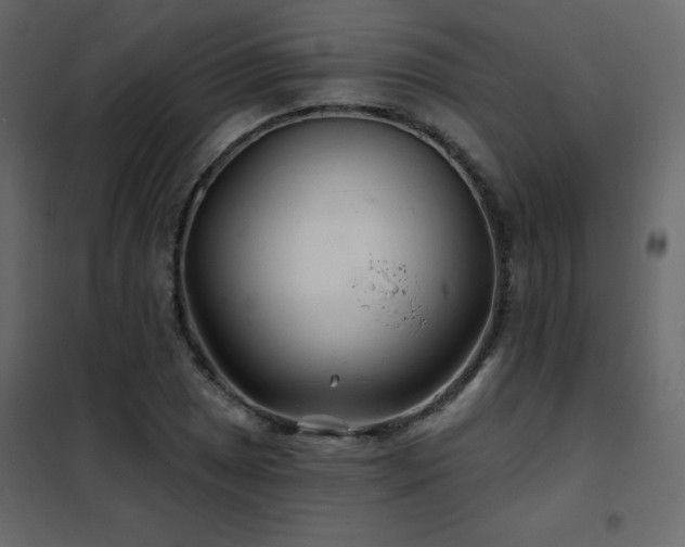 X0000102541025200808081516