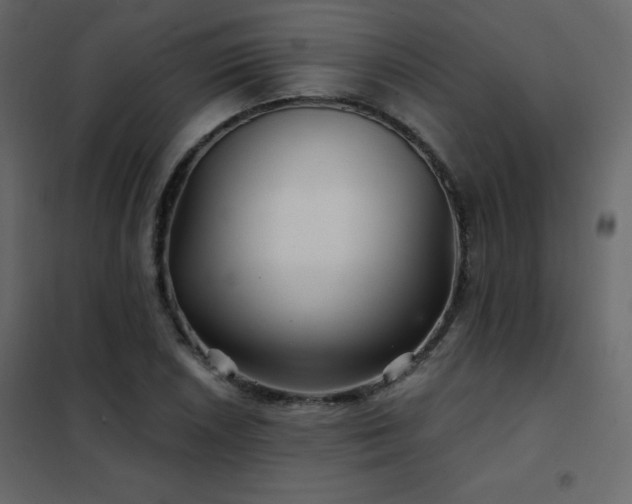 X0000102541026200808081516