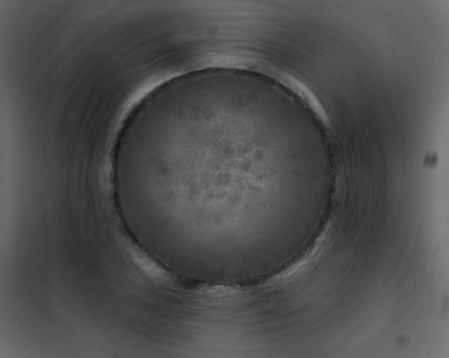 X0000102541027200808081516