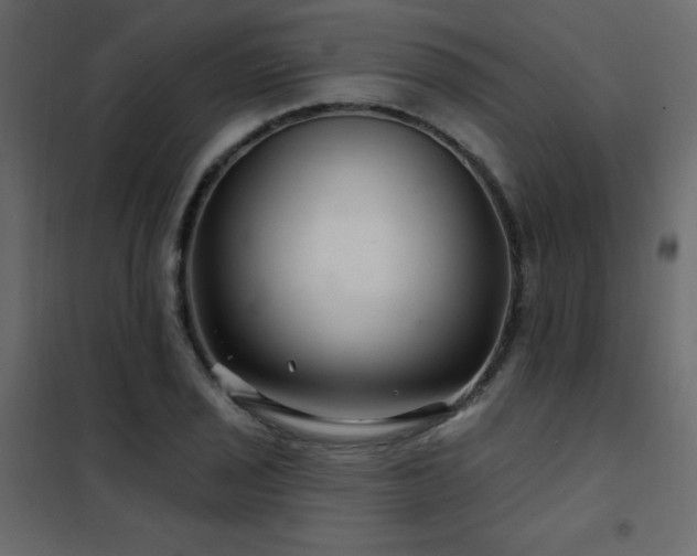X0000102541029200808081516