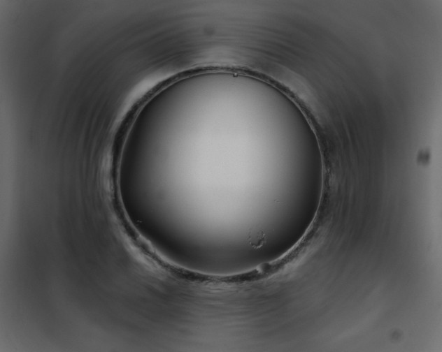 X0000102541030200808081516