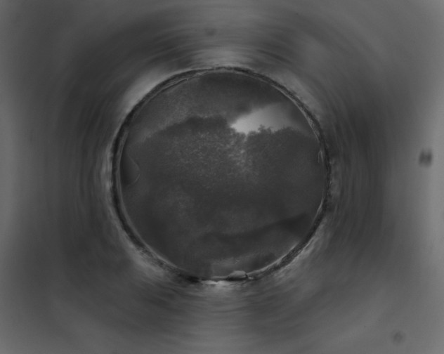 X0000102541031200808081516