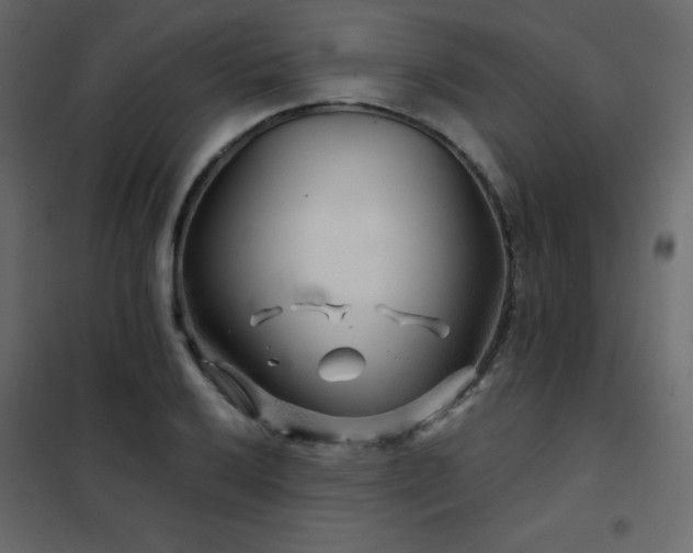 X0000102541032200808081516