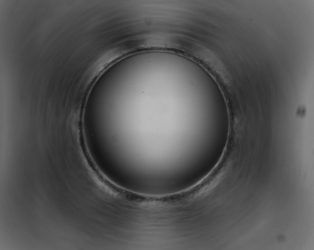X0000102541033200808081516