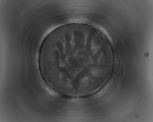 X0000102541035200808081516