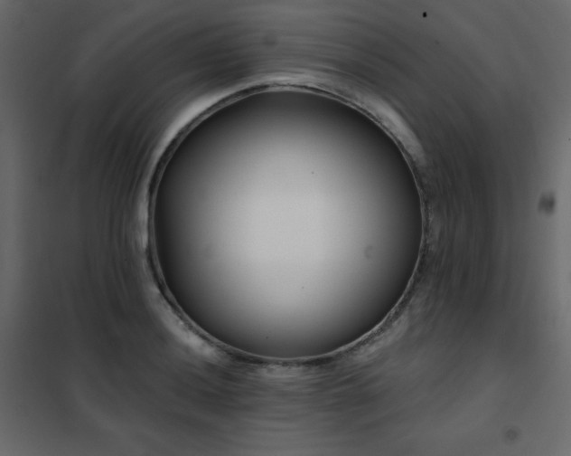 X0000102541036200808081516