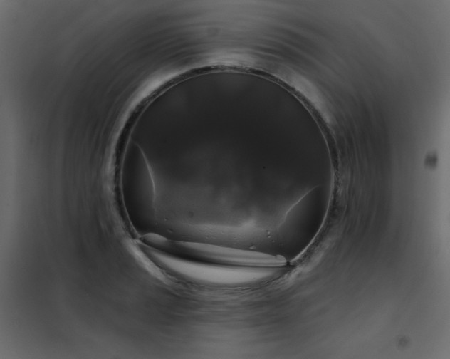 X0000102541037200808081516